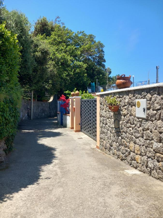 Villetta Panoramica Forio  Exterior photo